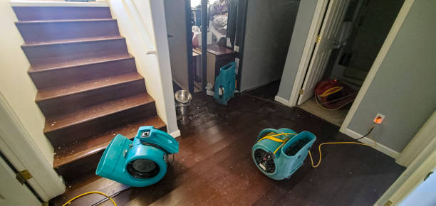 Best Commercial water damage restoration  in Murphysboro, IL