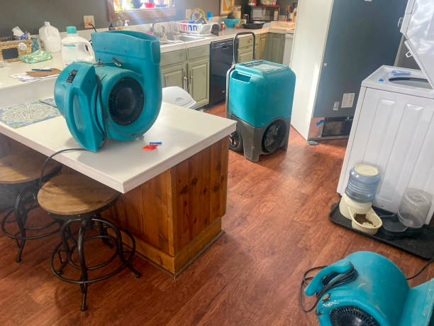 Best Emergency water damage restoration  in Murphysboro, IL