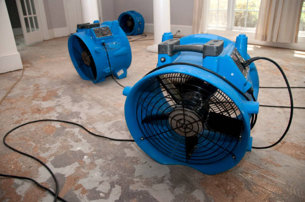 Best 24/7 water damage repair  in Murphysboro, IL