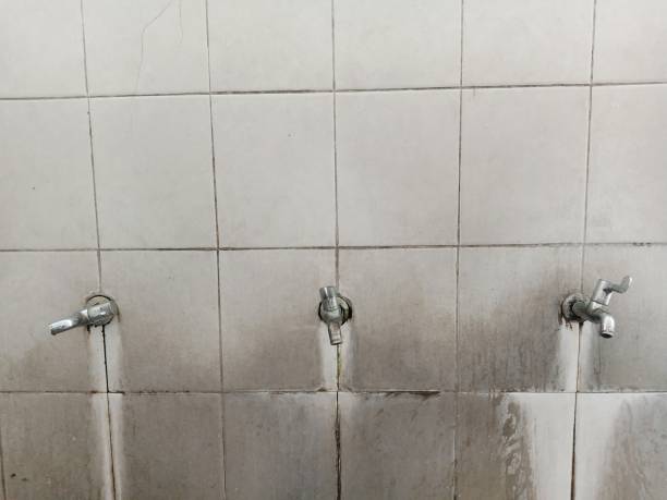 Best 24/7 water damage repair  in Murphysboro, IL