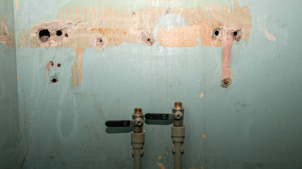 Best Water damage restoration near me  in Murphysboro, IL