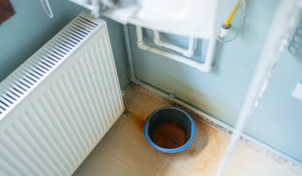 Best Flooded house restoration  in Murphysboro, IL