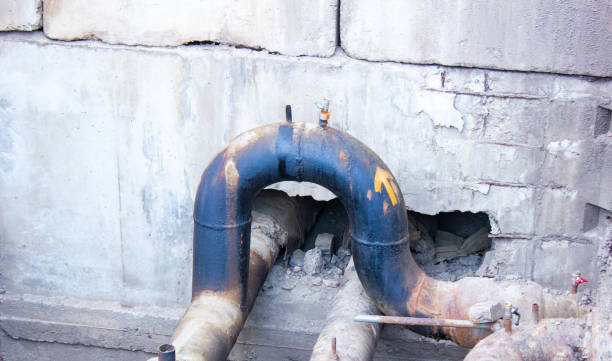 Best Flood restoration services  in Murphysboro, IL