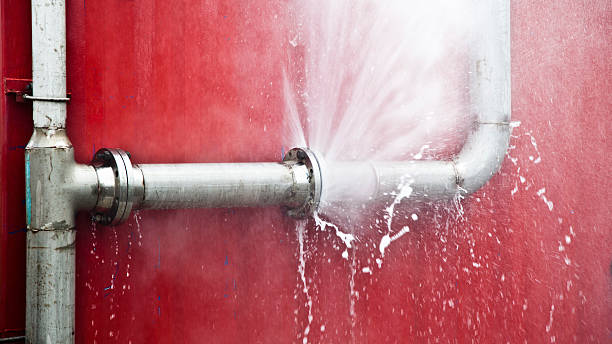 Best Sewage cleanup and water damage restoration  in Murphysboro, IL